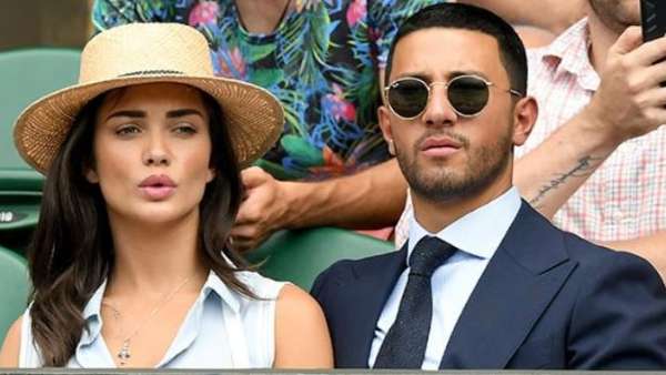  అమీ ఇక కెరీర్‌పైనే దృష్టిపెట్టారని