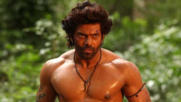 అప్పట్లో వరుడు సినిమాలో విలన్ గా..