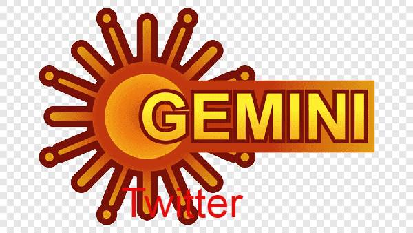 జెమినీలో సీరియల్స్ రేటింగ్స్ దారుణంగా