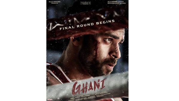 Varun Tejs Ghani final Round Begins