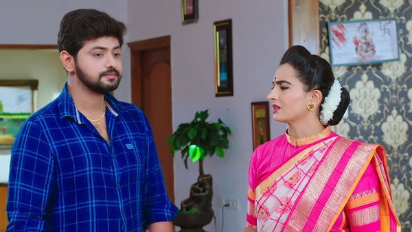 అన్నయ్య తప్పు చేస్తే శిక్ష వేయవా?