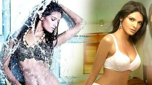 పూనమ్ పాండే కామెంట్స్‌పై షెర్లీన్ చోప్రా