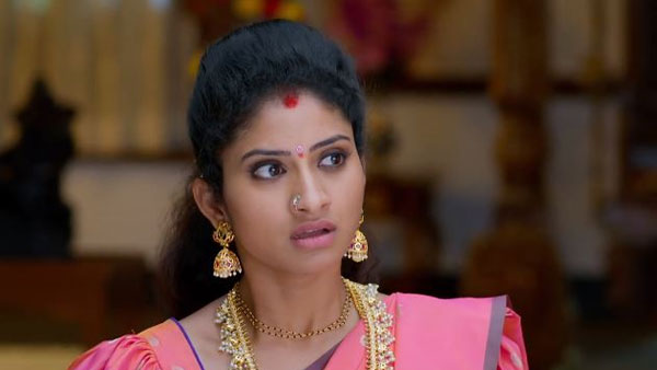 మరో చిచ్చు పెట్టిన మల్లిక