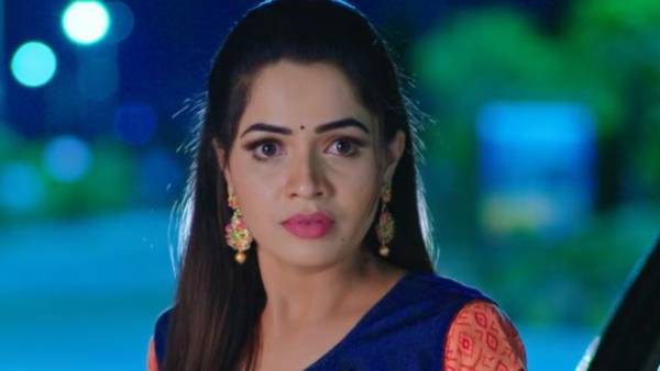 అంజిని ఫామ్‌హౌస్‌కు తరలించే ప్లాన్‌లో