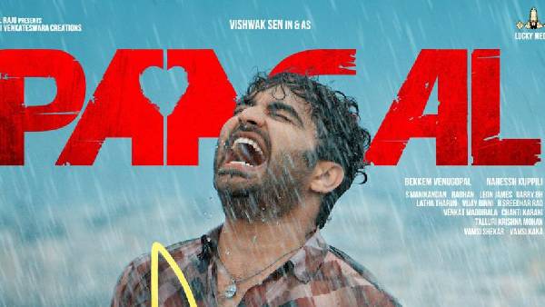 పాగల్‌‌లో కన్‌ఫ్యూజన్ ఇలా.. 