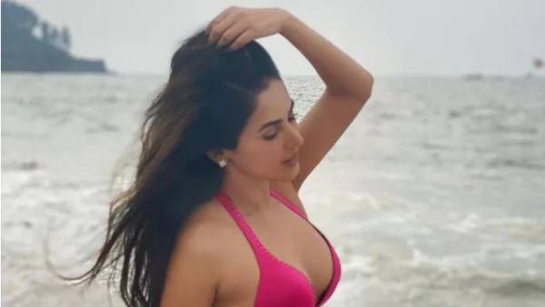 టాలీవుడ్‌లోకి ఎంట్రీ... అక్కడ ఫుల్ బిజీ