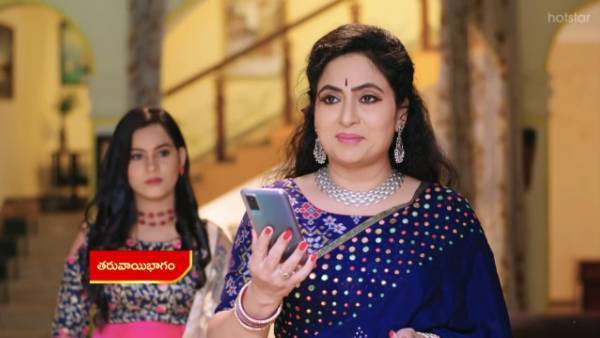 దత్తత ఇచ్చేద్దామా