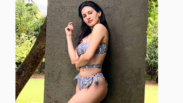 సినిమాల విషయానికి వస్తే