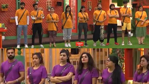 గుంటనక్క