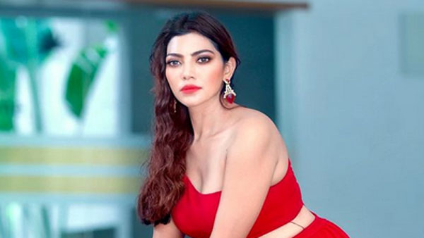 టెలివిజన్ కేరీర్