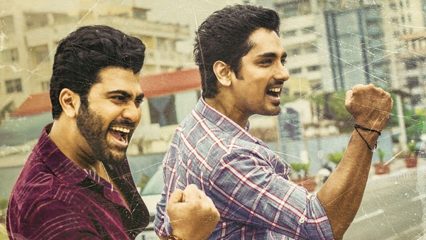 విడుదలకు ముందు