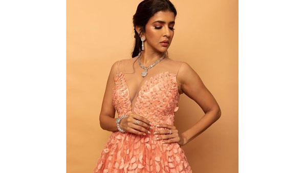 ట్రాన్స్‌పరెంట్ డ్రెస్‌లో హాట్ ఫోజు