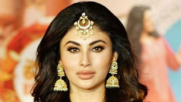 ఆ సీరియల్తో దేశ వ్యాప్తంగా గుర్తింపు