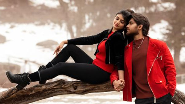 ప్రపంచ వ్యాప్తంగా వచ్చిన కలెక్షన్లు ఎలా?