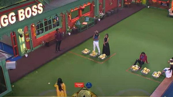 పన్నెండు వారాలు.. పన్నెండు మంది