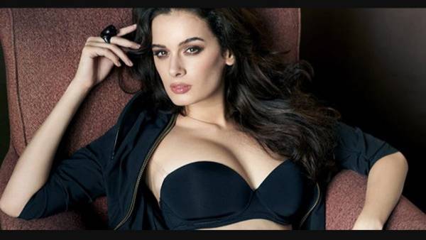 హాలీవుడ్ నుంచి బాలీవుడ్లోకి రాక