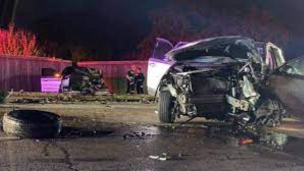  మంచి స్నేహితులయ్యారు