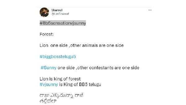 సింహం ఒకవైపు.. జంతువులన్నీ మరోవైపు