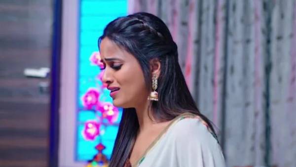 నందూకు ఇష్టమైనవి ఇచ్చిన తులసి