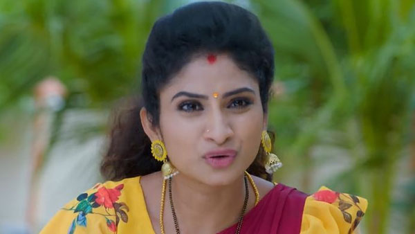 ఇదంతా నీ వల్లే జరిగింది..