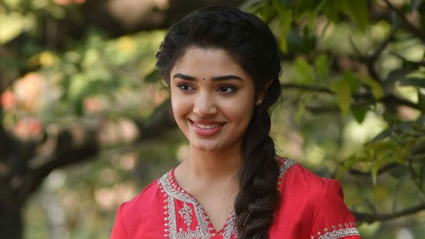 డబ్బింగ్ చెప్పాలని ఉందంటూ..