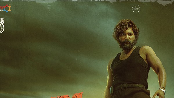 సీడెడ్‌లో సత్తా చాటిన స్టైలిష్ స్టార్