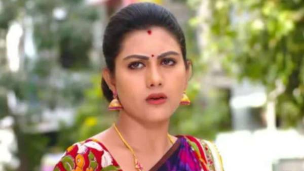 ఇంటికి చేరిన శైలు