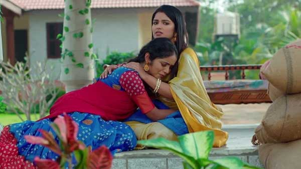 వెన్నలపై కన్నేసిన కన్నబాబు