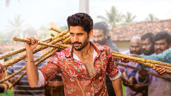 ప్రపంచ వ్యాప్తంగా వచ్చింది ఎంత?