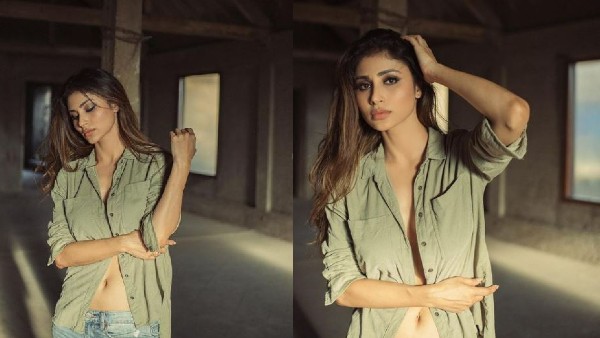 నాగిన్ సీరియల్‌తో పాపులారిటీ