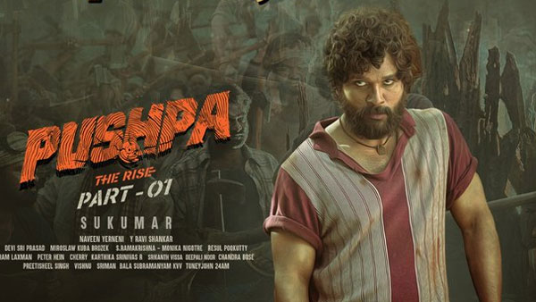 17వ రోజున పుష్ప కలెక్షన్లు.. 