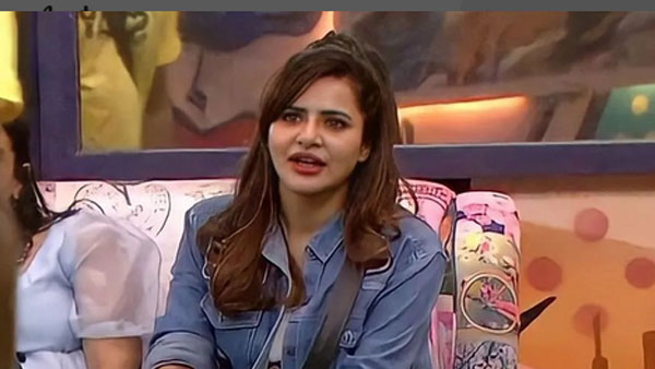 బిగ్‌బాస్ ఓటీటీ షోలోకి ఎంట్రీ