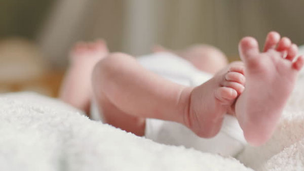 వెంటనే స్పంసించిన మెగా టీమ్