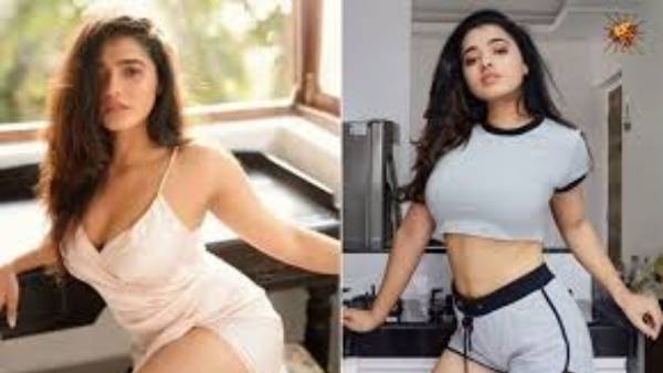 ఢిల్లీలో పుట్టిపెరిగి