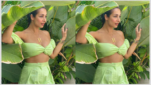 అందాల విందు చేస్తోన్న భామ