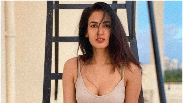 సినిమాల్లోకి ఎంట్రీ... వరుస ఆఫర్లు