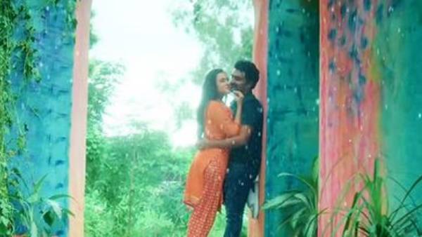 దర్శకుడి కథ, కథనాలు