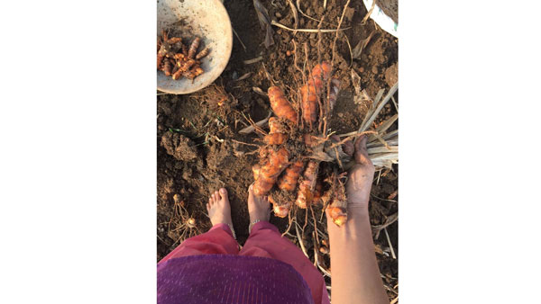 మట్టి మనుషులతో.. అందంగా..