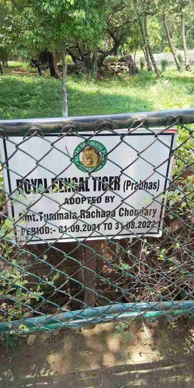 Royal Bengal Tiger named as Prabhas at Nehru Zoological Park in Hyderabad