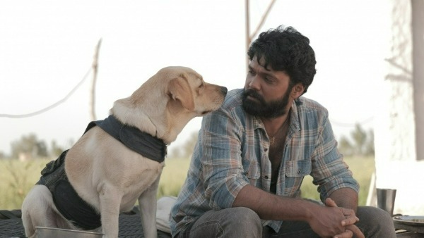 సెకండాఫ్ విషయానికి వస్తే