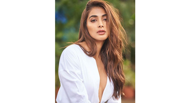 అందాల విందు చేస్తోంది