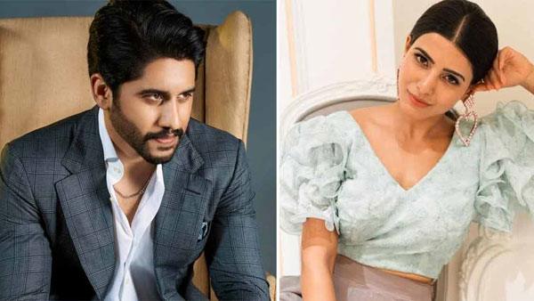సమంత, నాగచైతన్య కెరీర్ ఇలా..