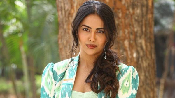 టాలీవుడ్ విజయాలు