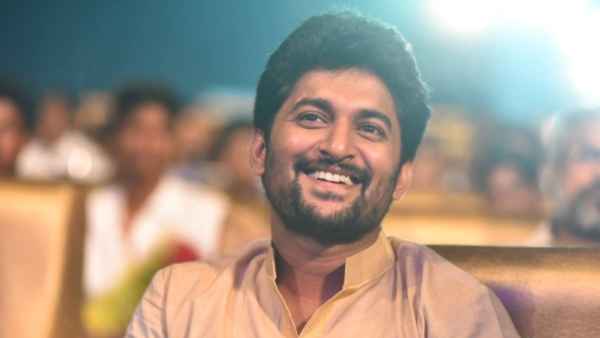  మెగాస్టార్, నేచురల్ స్టార్