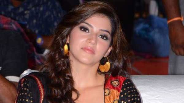 ఎన్నో హిట్లు.. ఆ భాషల్లో మూవీలు