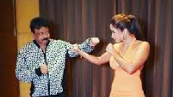 అల్ ఖైదా ఉగ్రవాది ఉగ్రవాది