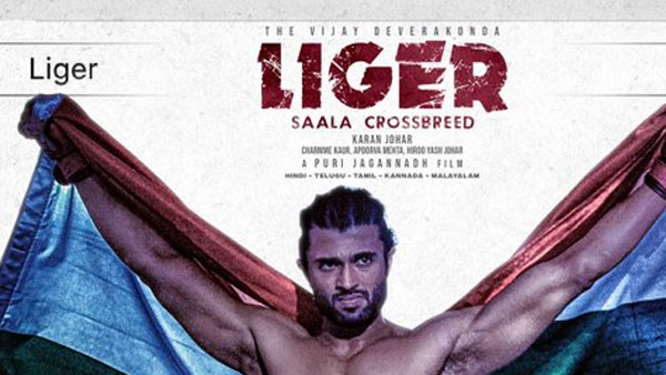 ప్రపంచవ్యాప్తంగా కలెక్షన్ల వివరాలు