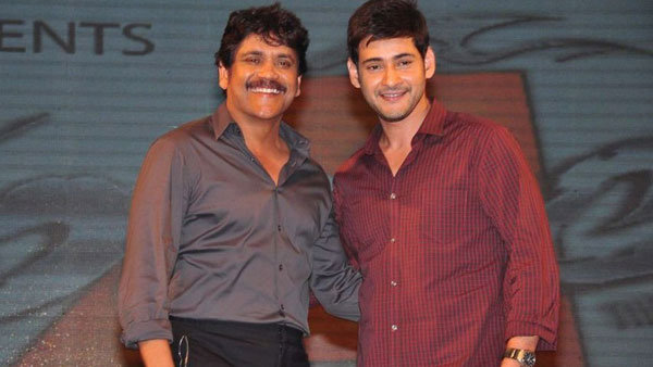 mahesh babu nagarjuna tweets creating new doubts in fans mahesh babu nagarjuna tweets creating new doubts in fans