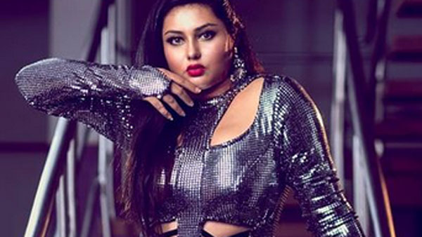 పరోక్షంగా డెలీవరి హింట్..