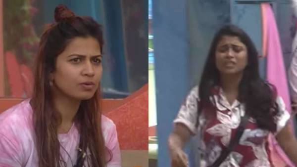  టమాటాలు.. మాటా మాటా పెరిగి